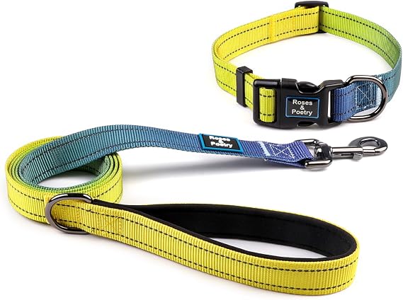 Roses&Poetry Reflective Dog Collar and Lead with Gradient Amber, Adjustable Durable Puppy Collars Leash for Extra Small Dogs (Amber-L)
