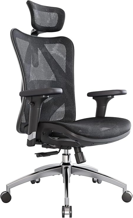 SIHOO Ergonomic Desk Chair Swivel Chair with Adjustable Lumbar Support Headrest and Armrest Height Adjustment and Rocker Function Back-Friendly Office Chair Load Capacity: up to 150 kg (330 lbs)