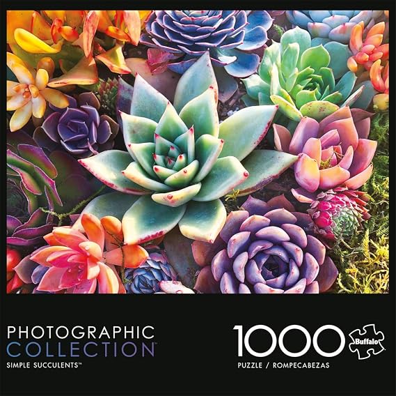 Buffalo Games James Mertke Simple Succulent 1000 Piece Puzzle for Adults
