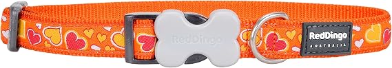 Red Dingo Designer Dog Collar, Large, Breezy Love Purple