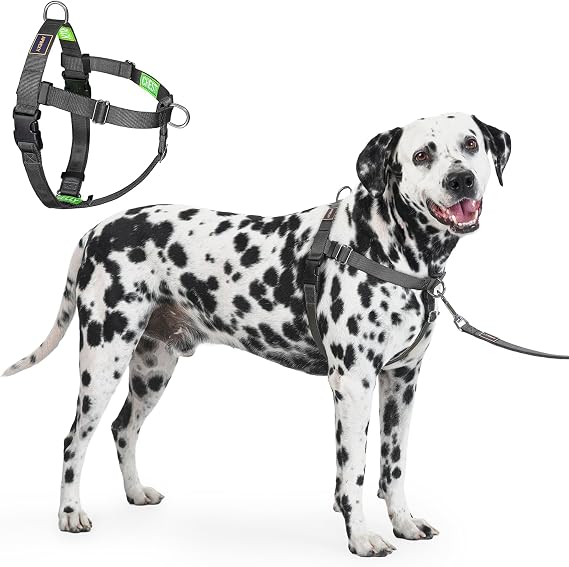 Freedom No Pull Dog Harness for Large Dogs, Black, XLarge | Sewn-In Instructions Tags for Easy Use, Front Clip, Easy Walk, Anti Pull, 2 Stainless D-Rings