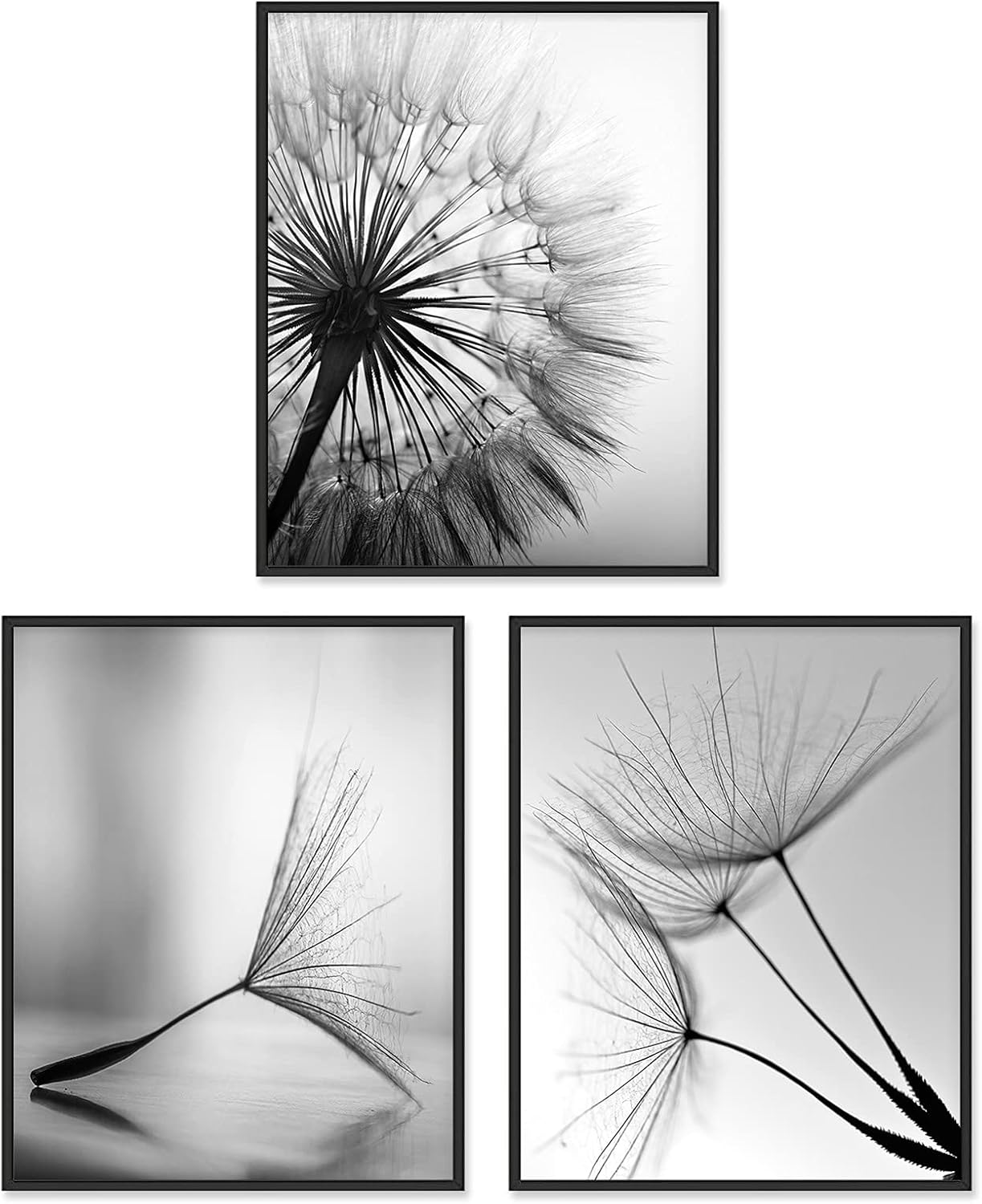 Black and White Wall Art Prints Posters Minimalist Decor, 8x10 Canvas Prints Unframed Set of 3, Plant Posters Aesthetic for Living Room
