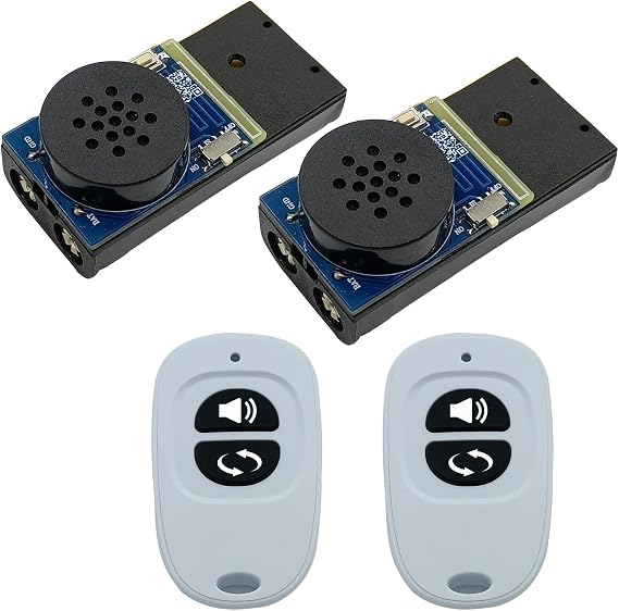 Cricket Noise Maker Prank with Remote Control, Hidden Pranks at Party, Office, Home, School, Car for Adults (2 PCS)