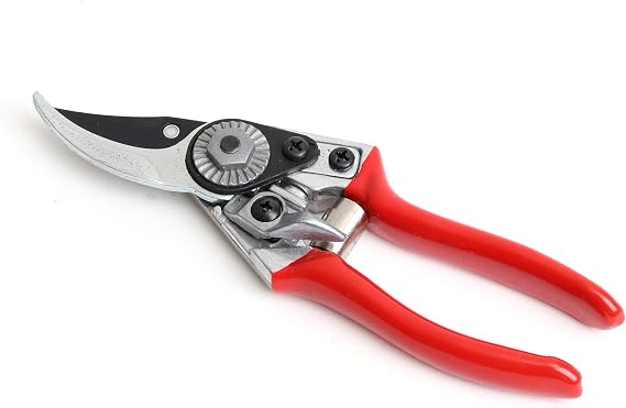 Darlac Small Bypass Secateur Pruning Secateurs SK5 Steel Lightweight | SK5 Steel, Lightweight, Pruning, Garden Tools, Gardening