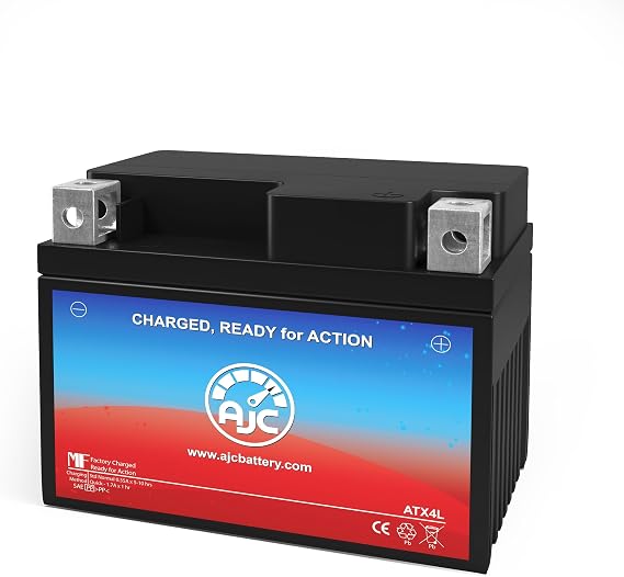 AJC Battery Compatible with EverStart ES4LBS Powersports Battery