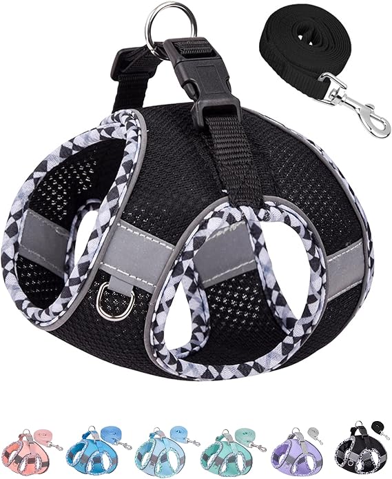 Petank Dog Harness for Small Medium Dogs No Pull, Puppy Harness and Leash Set,Step in Dog Harness for Walking, Running, Training, Small Dog Vest(Black, XXS)