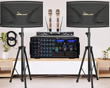 IDOLmain Full- Featured Professional Home Karaoke System with 6000W Mixing Amplifier with Dual High-End Wireless Microphones, Dual 4000W 12" Speakers