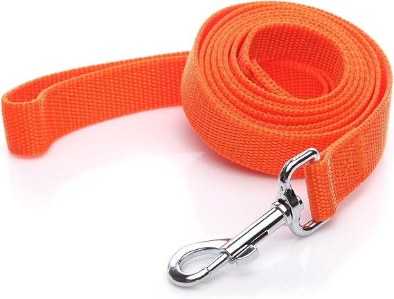 Nylon Dog Leash 4 Ft 5 Feet 6 Foot Long, Walking Training Dog Leashes for Medium Large Dogs, 1 Inch Wide (5/8" X 6 ft, Orange)