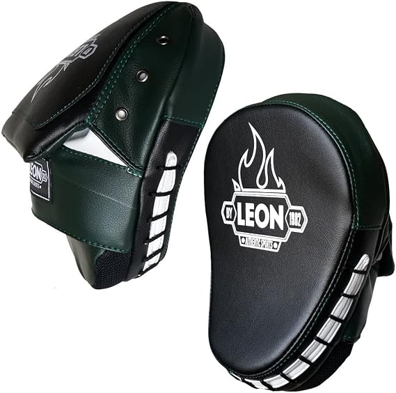 Leon Pro Boks, Kick Boks Muay Thai ve MMA El Lapası
