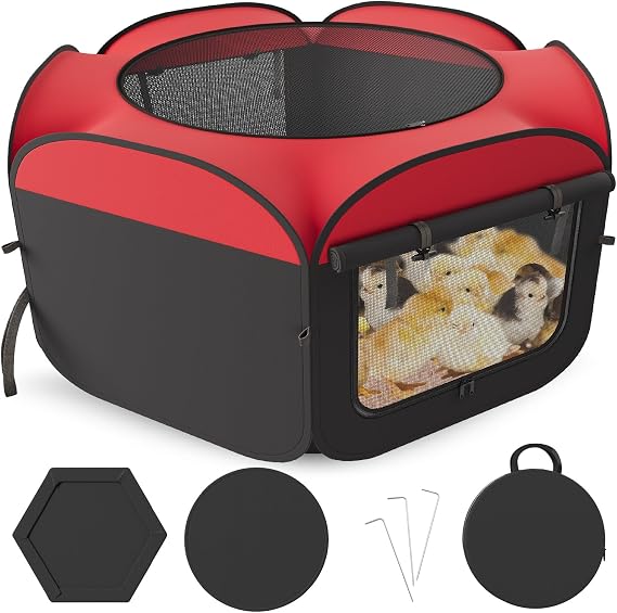 Chicken Brooder with Cover - Dual Door Collapsible Large Brooder Box for Chicks Starter Kit, Sturdy Baby Chicken Coop Chick Enclosure Tent, Chick Brooder Pen for Chick, Duck and Quail