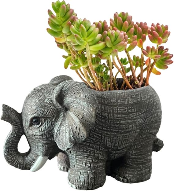 Plant Pot Garden Planter Desktop Ornament Cactus Succulent Flower Pots for Home Office Decor