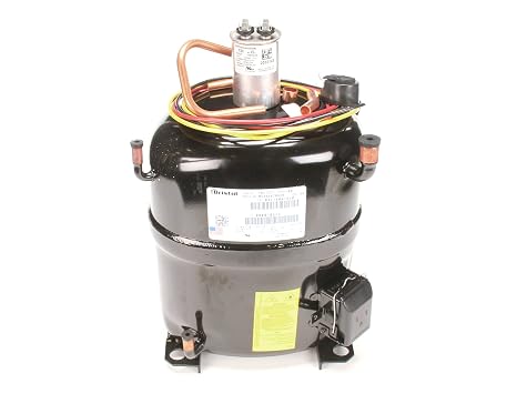 Manitowoc Ice 000010555 Bristol Compressor Kit, 230/60