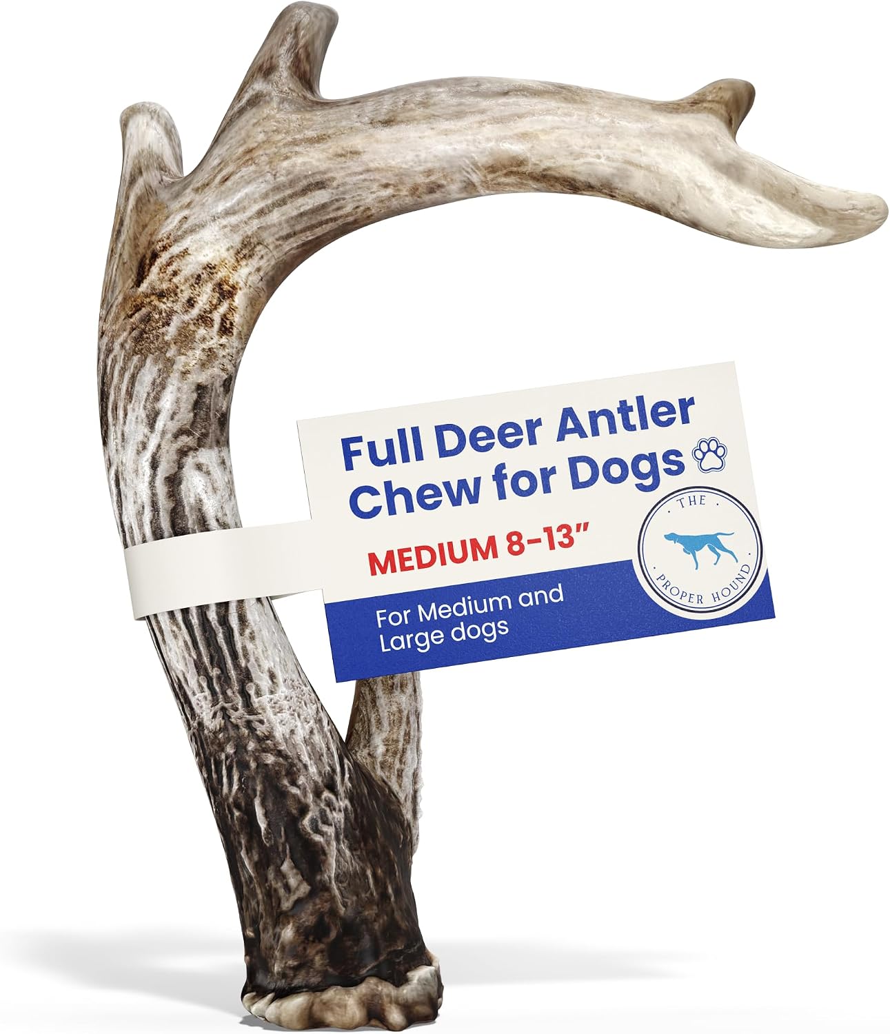 THE PROPER HOUND® Medium Whole Deer Antler for Dogs [LONG LASTING] - Deer Bones for Dog Humanely Sourced - Deer Antlers for Large & Medium Dogs - Deer Horns for Dogs - Real Deer Antlers 8 to 13 Inches