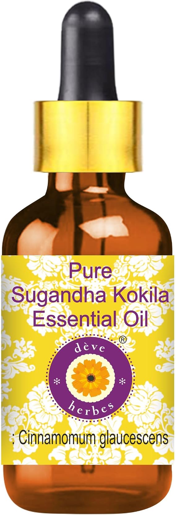 deve herbes Pure Sugandha Kokila Essential Oil (Cinnamomum glaucescens) with Glass Dropper 100% Steam Distilled 5ml (0.16 oz)