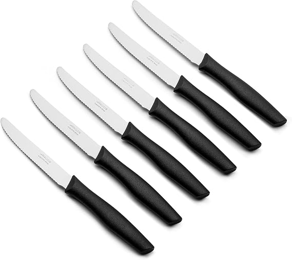 Arcos Serrated Steak Knife Set of 6 Pieces in Stainless Steel. 4 Inch Meat Knives Set with Ergonomic Polypropylene Black Handle. Series Nova