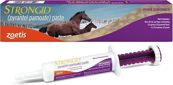 Strongid (pyrantel pamoate) Paste Dewormer for Horses, 20 mL Syringe