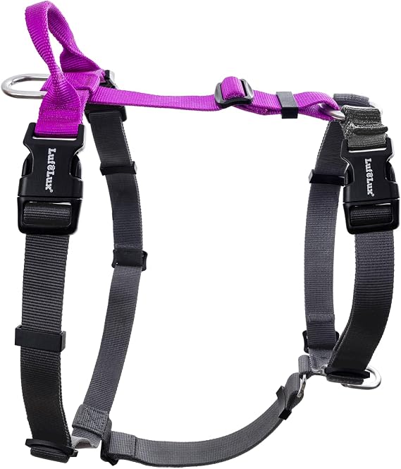 Non-Restrictive Large Dog Harness, Easy Walk Freedom No Pull Harness, Keep Balance, Neck-Buckle, Every Part is Adjustable, Back and Front Leash Clips, Purple/Black | Non-Restrictive, Neck Buckle Design, Back Handler, Six Points Adjustment, Chest 25-35 inches