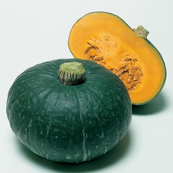 Kitazawa Seed Co Squash Seeds Japanese, Winter Sweet Mama Hybrid 1 g