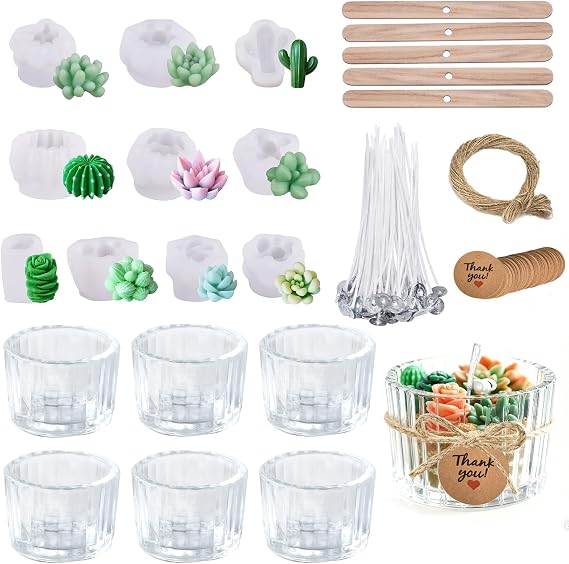 ZRLABL Candle Making Kits for Beginners, DIY Candle Making Supplies Include 10pcs Succulent Silicone Molds, 50pcs Gift Tags, 65ft Jute Twine, 6pcs Clear Candle Jars, 50pcs Candle Wicks