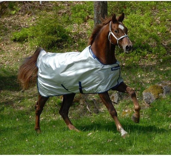 Bucas Light Power Turnout Blanket 72