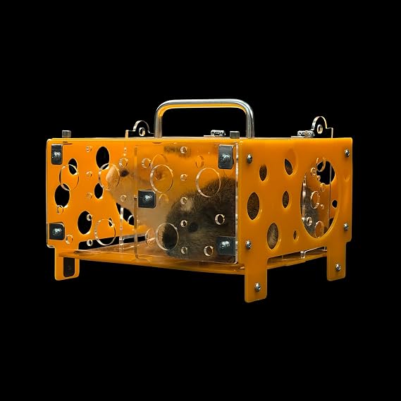 GuineaLoftTM Guinea Pig Cheese House (Double) V2