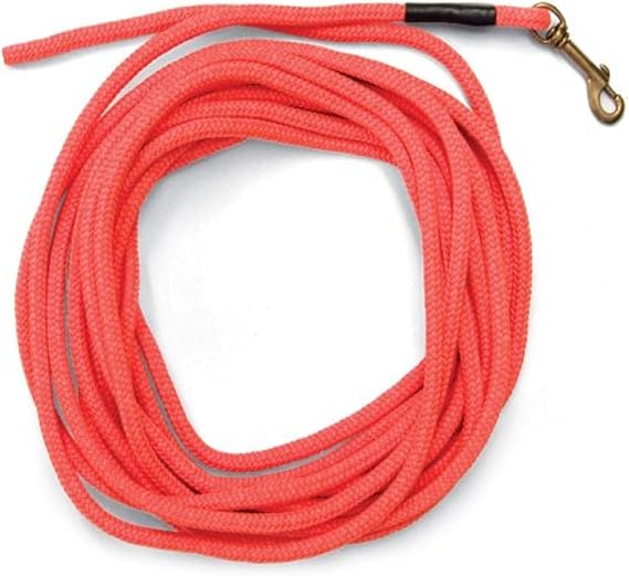 SportDOG Orange Check Cord - High-Visibility Floating Check Cord - Lightweight Tangle-Free Long Dog Training Lead with Heavy-Duty Brass Snap