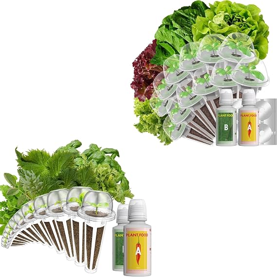 Herb Seed Pod Kits and Romaine Lettuce Seed Pod Kits