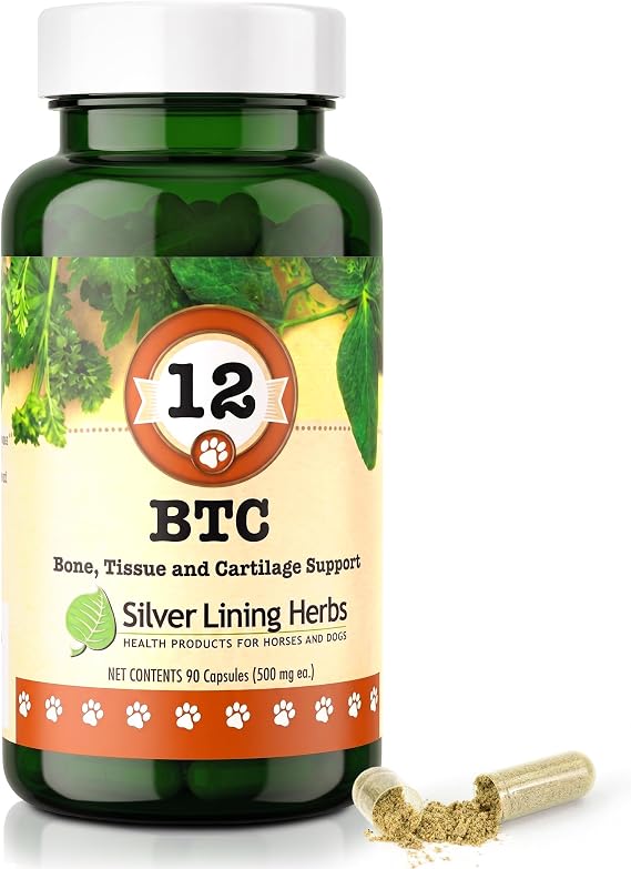 Silver Lining Herbs 12 Bone Tissue and Cartilage - Natural Herbal Support for Dog's Structural System - Maintains Canine Mobility, Flexibility and Vitality - 90 Capsules