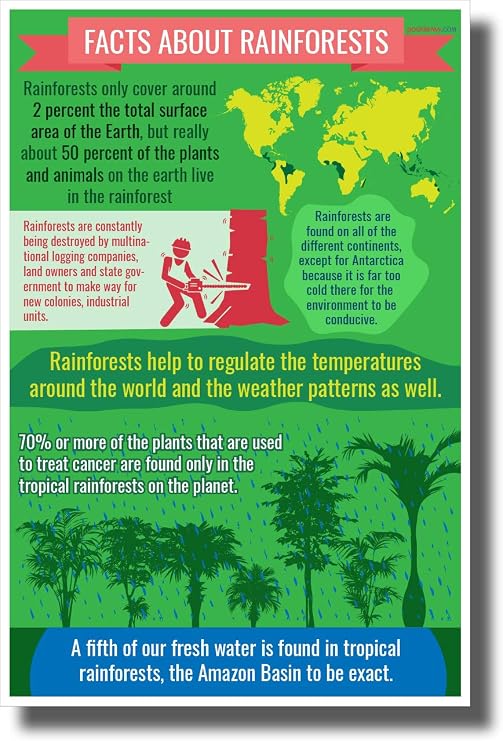 Rainforest Facts - New Environmental Awareness POSTER