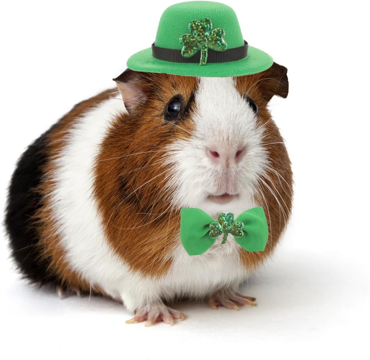 Guinea Pig Saint Patricks Day Hat Bow Tie Set Small Animal Irish Green Top Hat with Shamrock Décor St.Patricks Day Costume Accessories for Rabbit Bunny Ferret Bearded Dragon Puppy Kitten