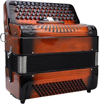 Asixxsix 69 Keys Accordion, 96 Bass Buttons Professional Chromatic Accordion with F B E Tuning, Quality Reeds, for Adults Beginners Musicians, Includes Padded Bag, Adjustable Straps