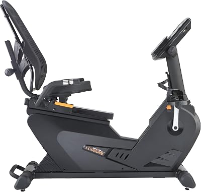 960RB Recumbent Exercise Bike, Black Frame