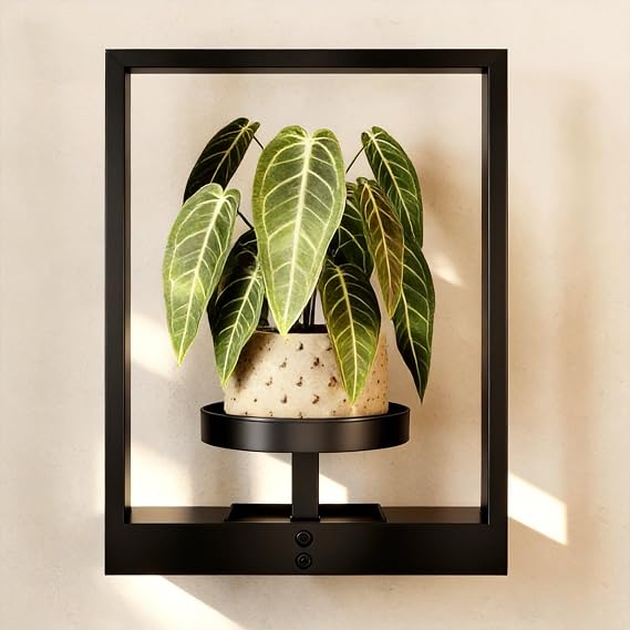GENTINGBRO Wall Plant Holder Wall Planters for Indoor Plants Plant Wall Shelf Plant Hanger Indoor Hanging Plant Holder Wall Decor Plant Frame for Living Room Window Balcony