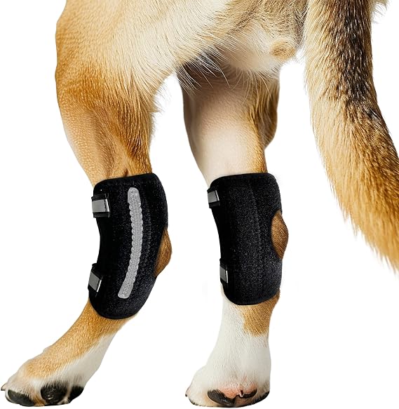 Dog Knee Brace for Rear Leg Torn ACL, Canine Rear Hock Joint Support, Joint Injury and Sprain Protection, Removable Design,  with 2 Spring Bars and 2 Steel Bars (M Pair), Medium, Black