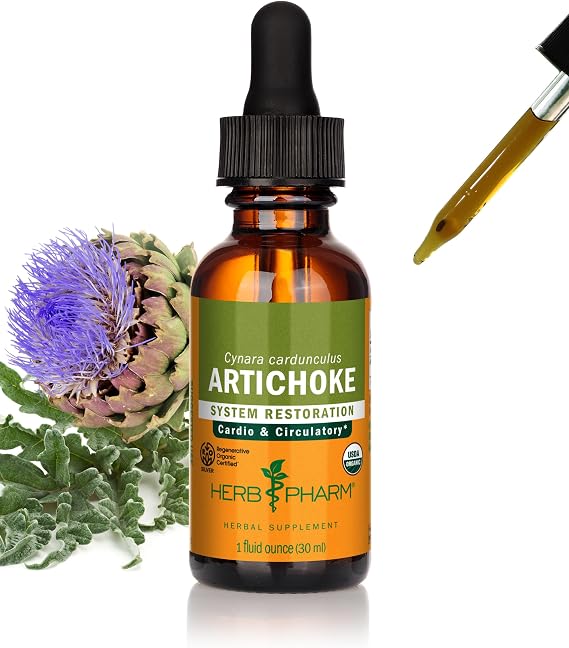 Herb Pharm Artichoke Liquid Herbal Extract: Organic Artichoke Leaf for Cardiovascular, Circulatory, Digestive Support, Liver Support | Gluten-Free, Vegan, Non-GMO, Up to ~3 Weeks Supply, 1 oz*