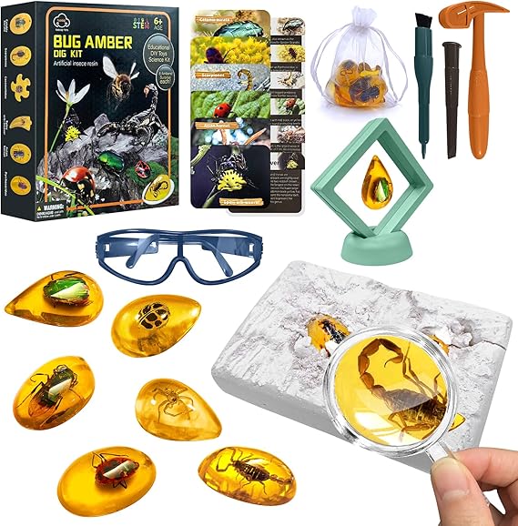 Amber Fossil Dig Kit, Kids Insects Specimens Excavation Kit with Digging Tools & Booklet Record Pages, Educational Toys Fossils Science Kit with Glasses & Display Frame for Kids Boys Girls
