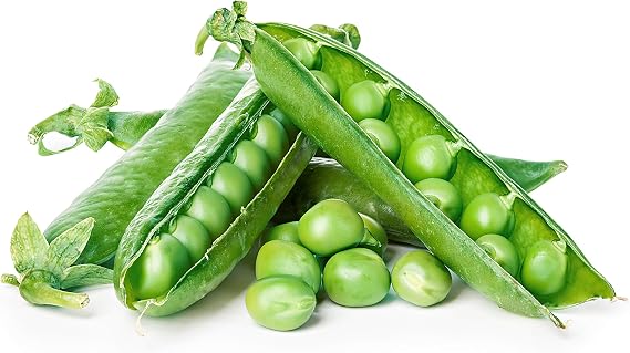 Green Arrow Pea Seeds