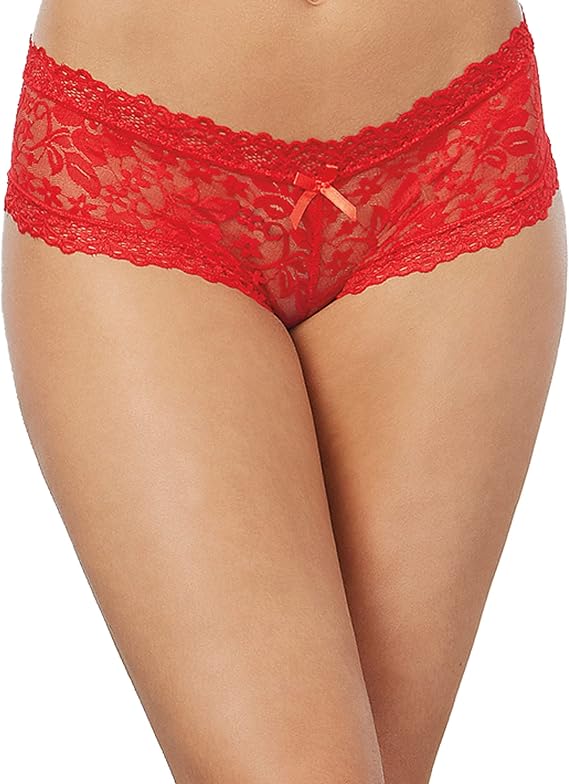 Dreamgirl Women's Sexy Fashion Lingerie, Stretch Lace Cheeky Hipster Panty