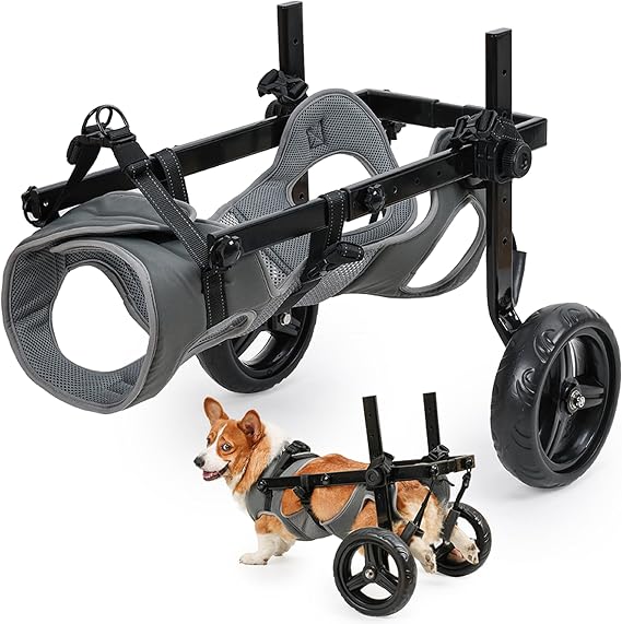 Folding and Adjustable Two-Wheel Pet Pram, Wheelchair for Dogs, Rear Limb of Pet Rehabilitation, Grey, M