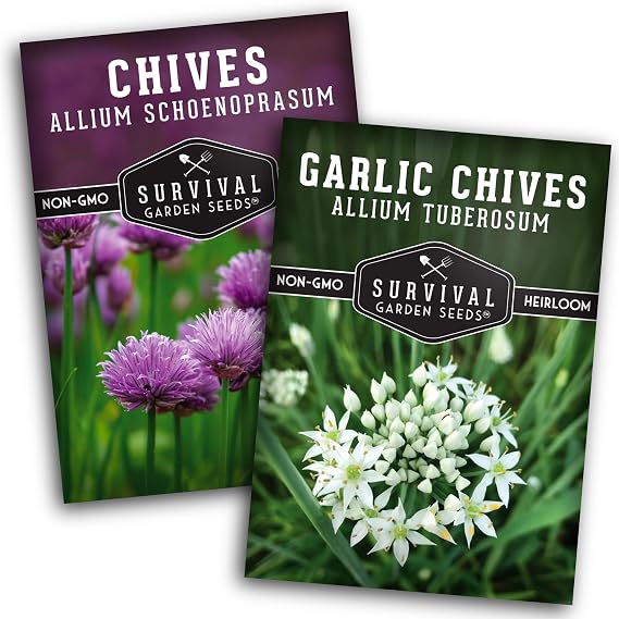 Chive Seeds 2 Variety Pack for Planting - Survival Garden Seeds | Common & Garlic Chives Seed Vareities - Non-GMO Heirloom Open-Pollinated Herbs to Plant in Your Garden