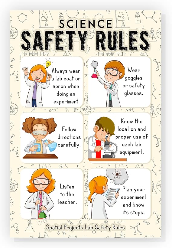 22.Fevrier Science Safety Rules Poster Classroom Rules Poster Inspiration Wall Art School Counselor Decor Counselor Office Decor Education Wall Art Back to School Decor