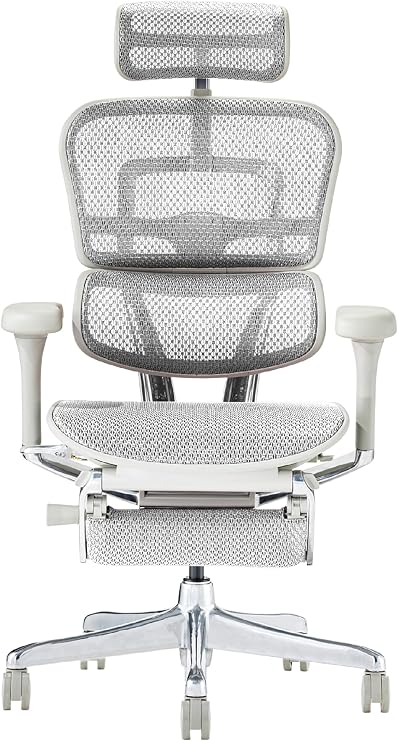 Ergohuman2 4D Armrest, Office Chair with Headrest, Built-in Ottoman, Elevation Type, Memory Locking Function, Elastomeric Mesh, PU Caster, Pro Ottoman, Frame: Gray, Mesh: White, 445402