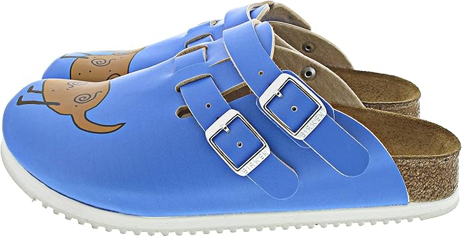 Birkenstock Women's Clogs and Mules