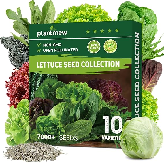 Heirloom Lettuce Seeds - 10 Varieties Lettuce Seeds for Planting - Includes Spinach, Kale, Arugula, Romaine, Iceberg, Buttercrunch & More, Home Garden & Hydroponic Seeds