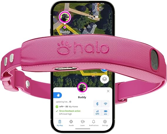 Halo Collar 5 GPS Wireless Dog Fence, Orchid