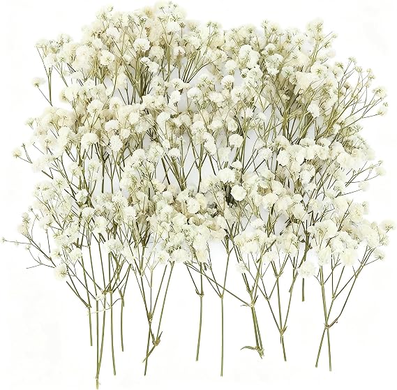 100PCS Dried Pressed Flowers,Natural Baby Breath Dried,Dry Flowers
