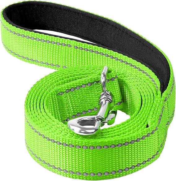 6FT Reflective Dog Leash, Padded Handle for Medium Large Dogs