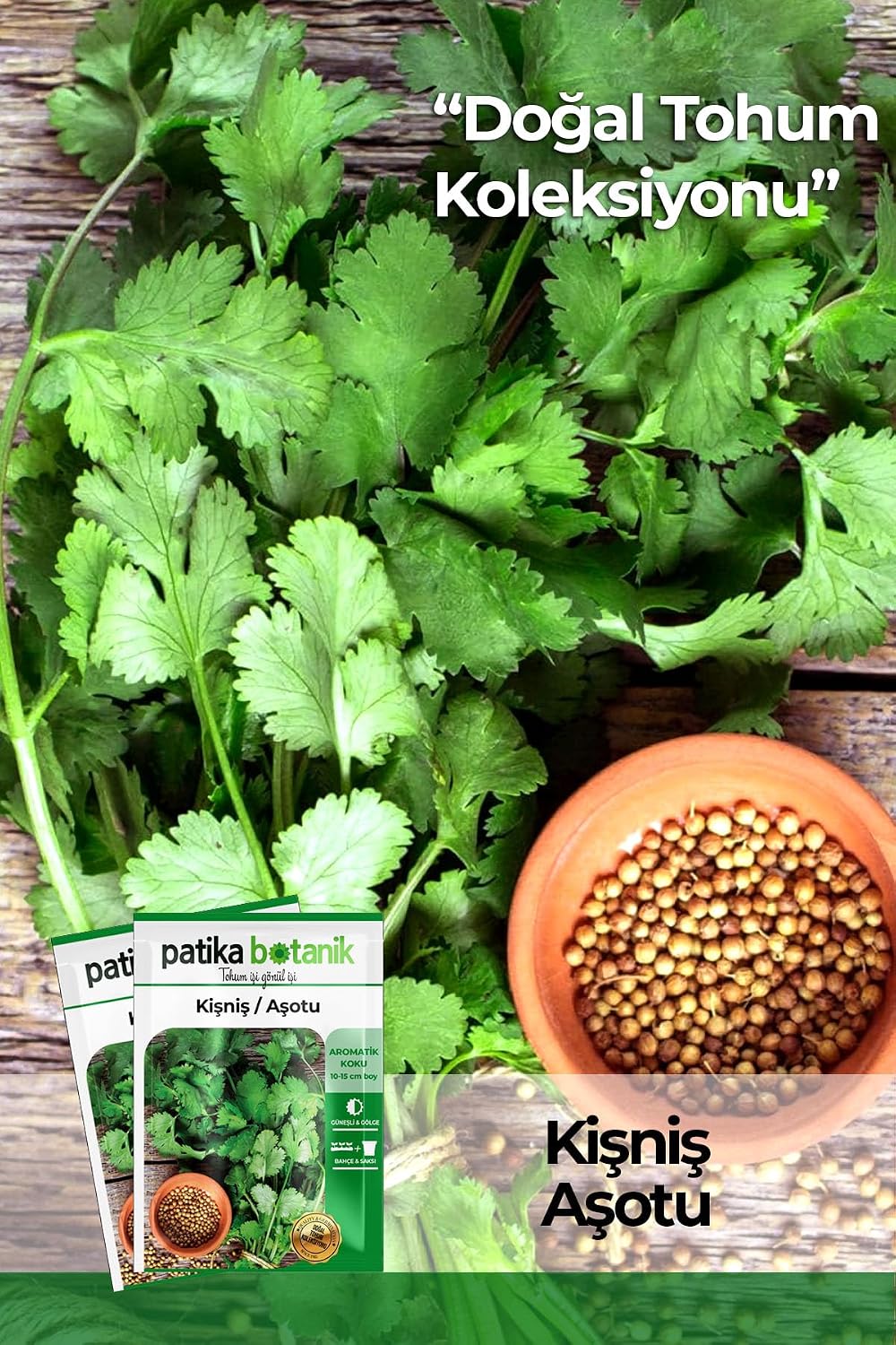Patika Botanical 600 Coriander Achotu Seeds