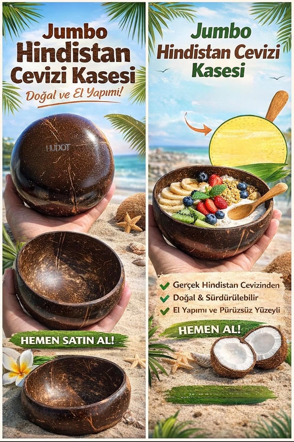 Jumbo Hindistan Cevizi Kasesi, Doğal El yapımı 13-15 cm