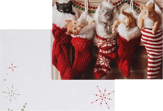 Avanti Press Christmas Cards, Stocking Full of Kittens, 10 Count (701154)